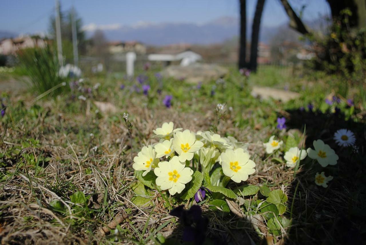 Villa Mirelia Rosta Bagian luar foto